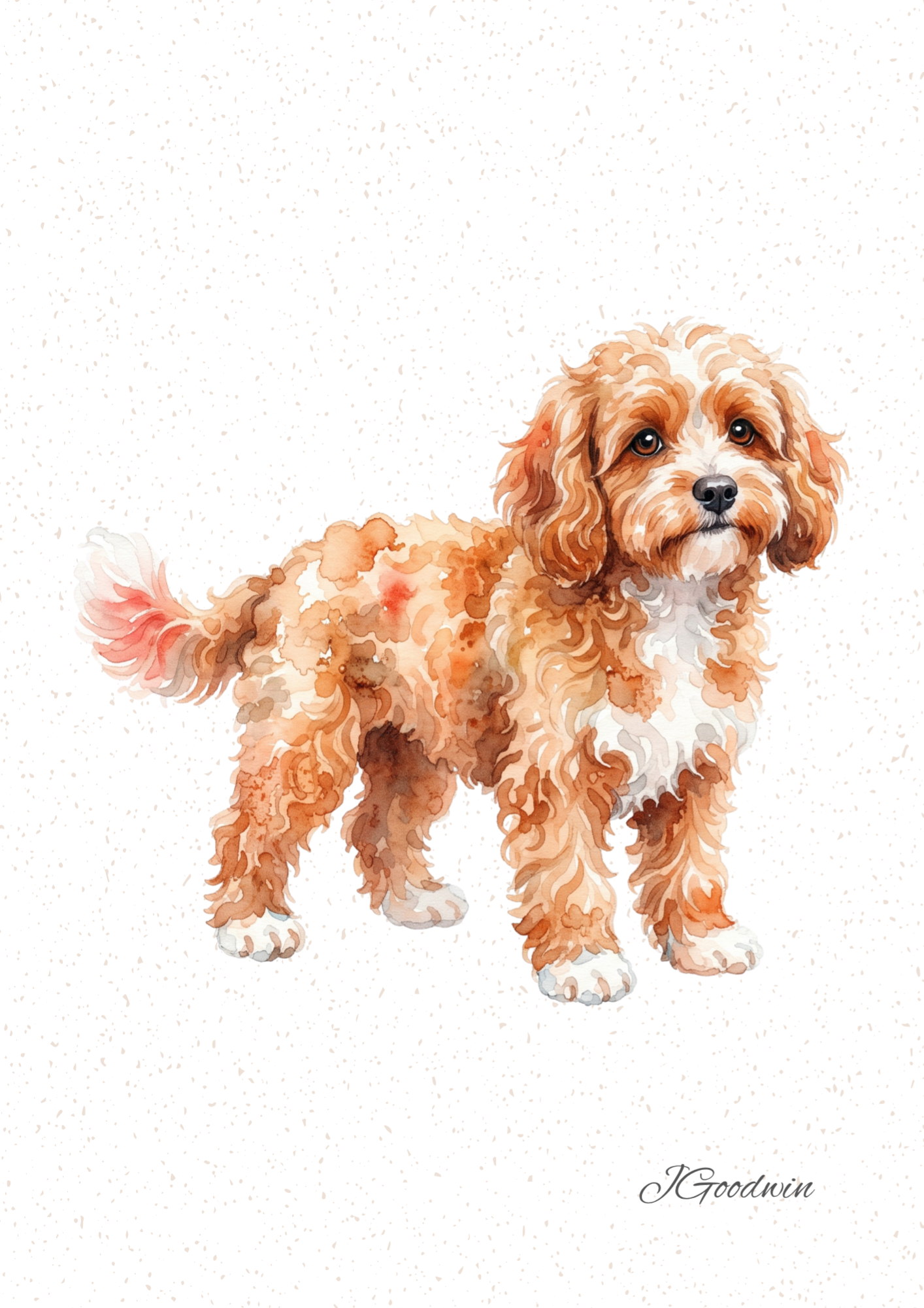 Apricot Cockapoo Digital Print