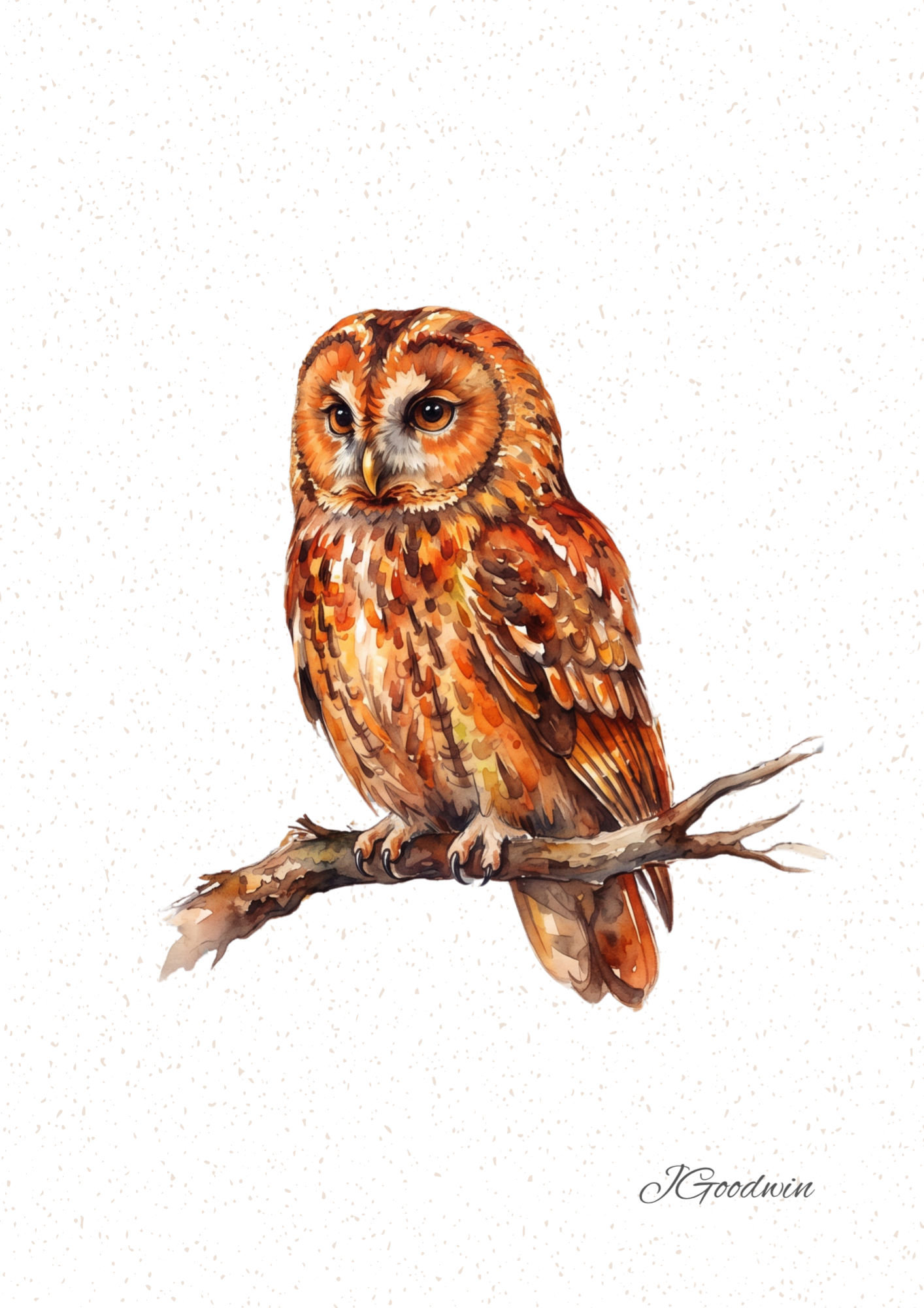 Owl Digital Print