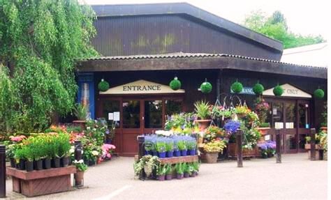 Jemima's Top 5 Garden Centres in the Peak District
