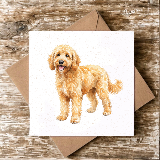 Yellow Labradoodle Greeting Card