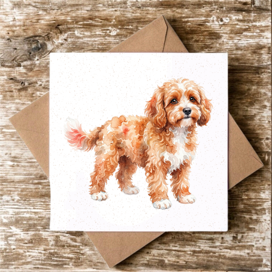 Apricot Cockapoo Greeting Card