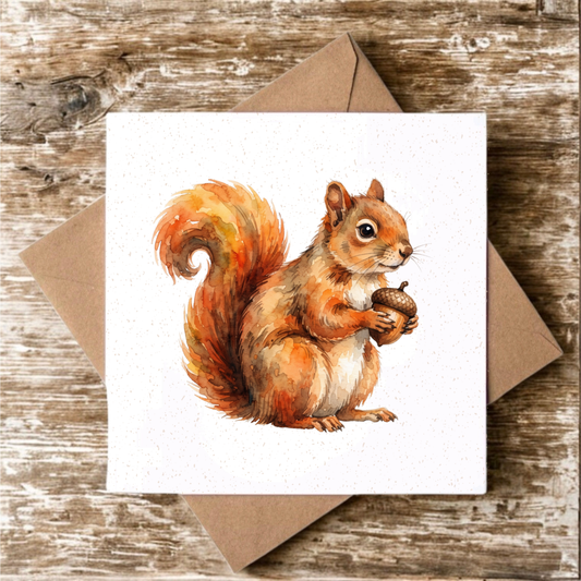 Squirrel Greeting Card
