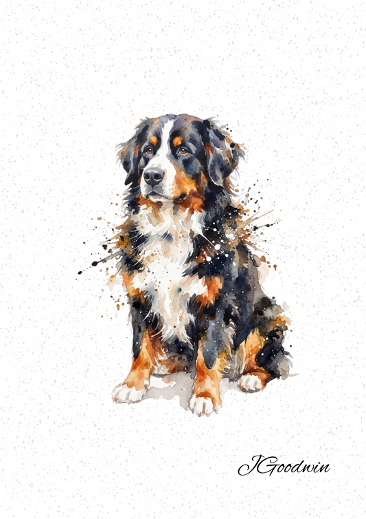 Bernese Mountain Dog