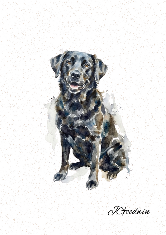 Black Labrador Print