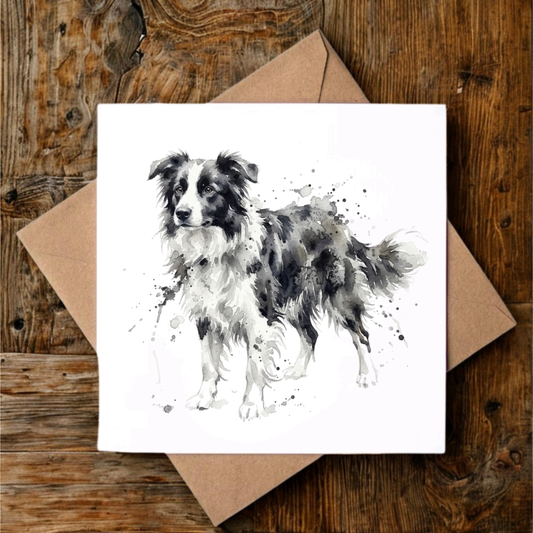 Border Collie Greeting Card