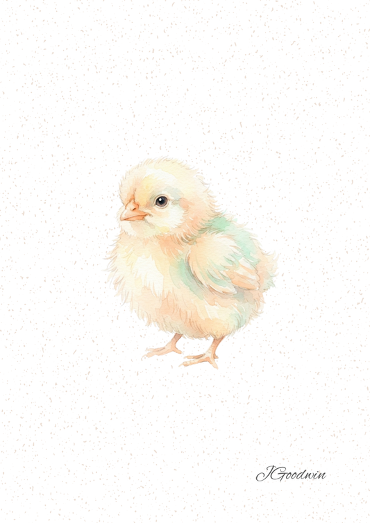 Chick Digital Print