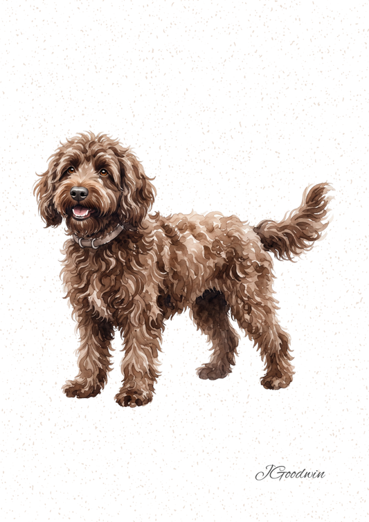 Chocolate Labradoodle Digital Print