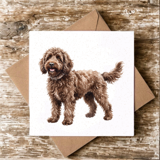 Chocolate Labradoodle Greeting Card