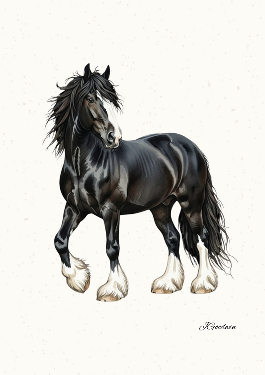 "Felicity the Black Shire Horse" Digital Print