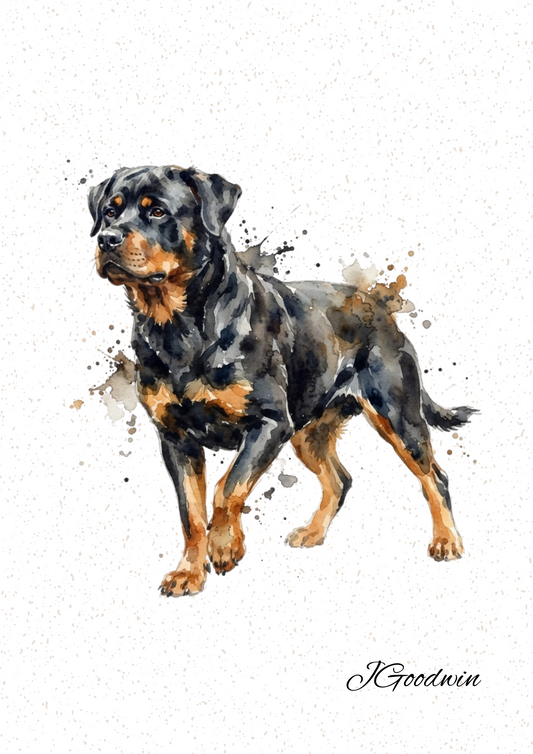 Rottweiler Print