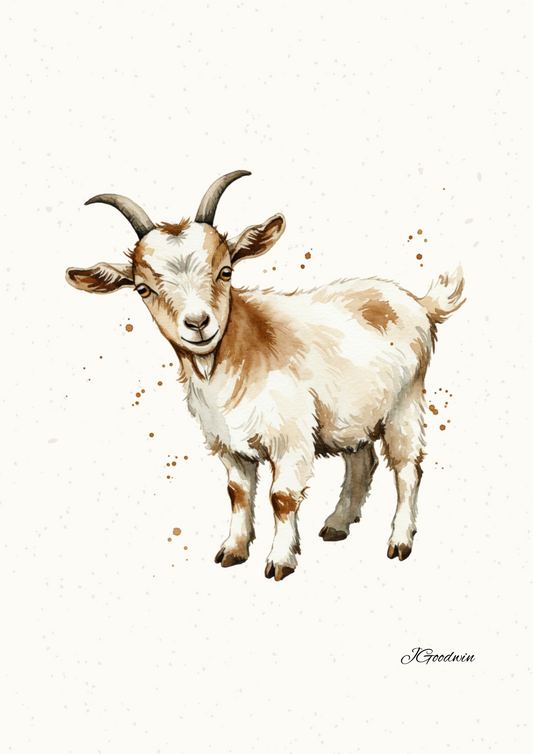 "Rufus the Pygmy Goat" Digital Print