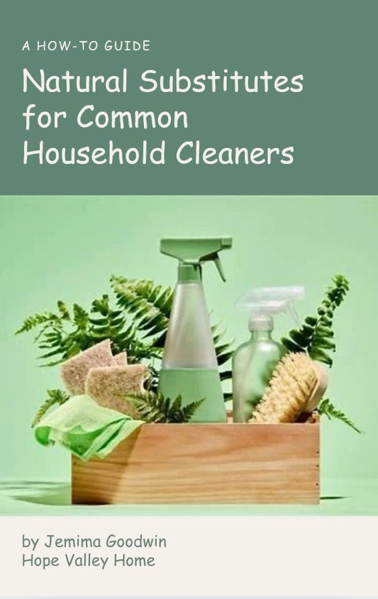 Natural Substitutes for Common Household Cleaners e-book