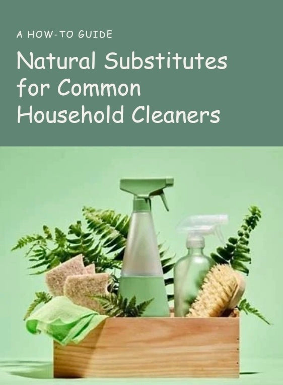 Natural Substitutes for Common Household Cleaners