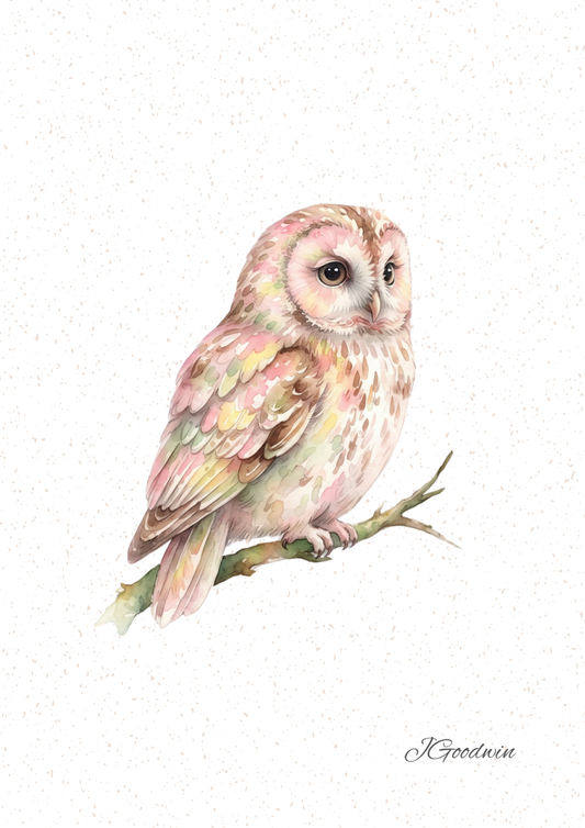 Owl Digital Print