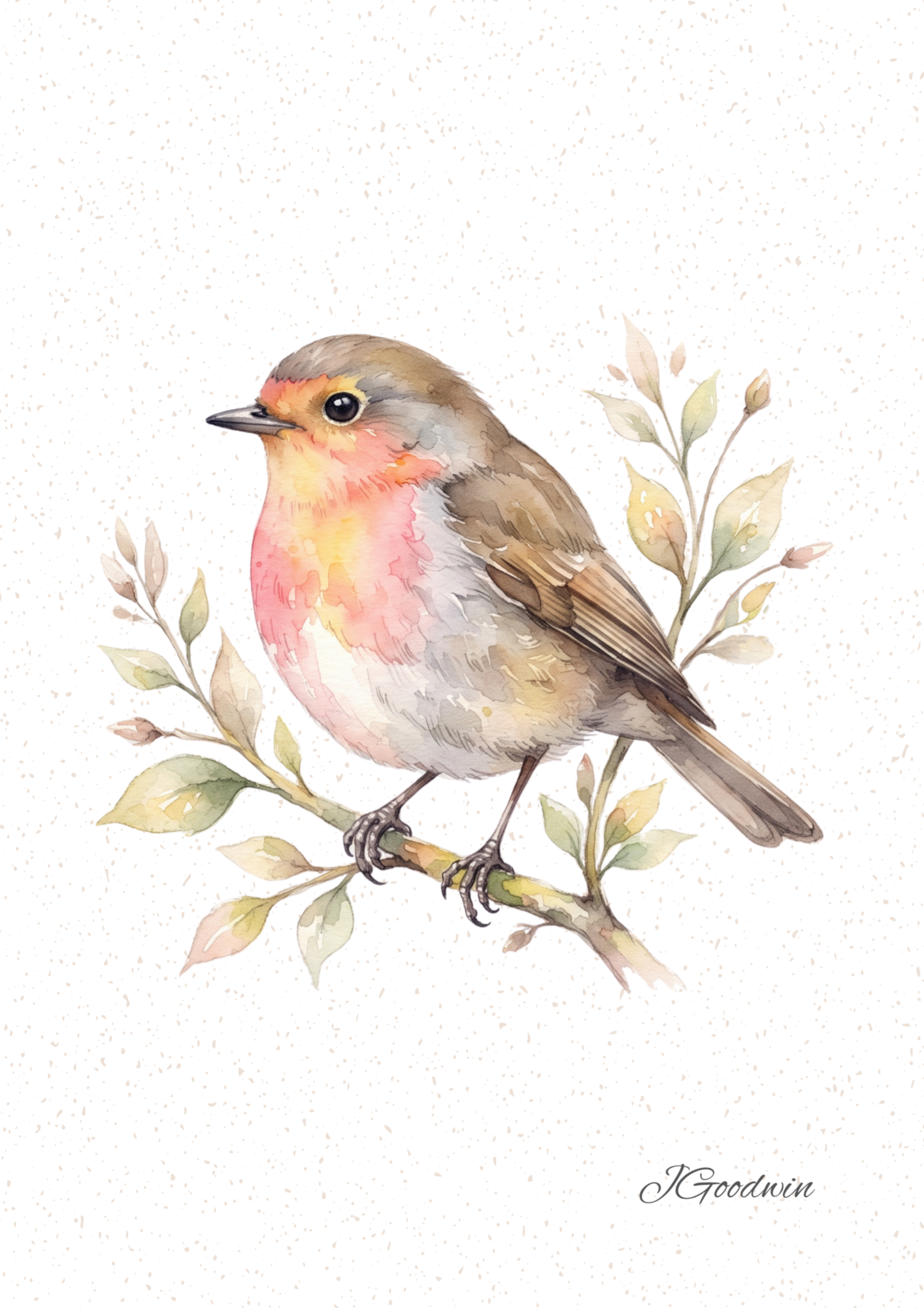 Robin Digital Print
