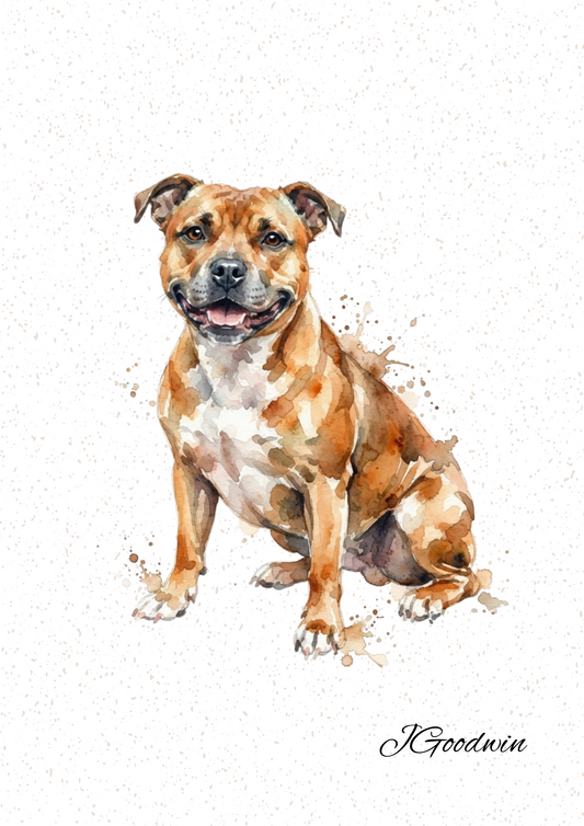 Staffordshire Bull Terrier Print
