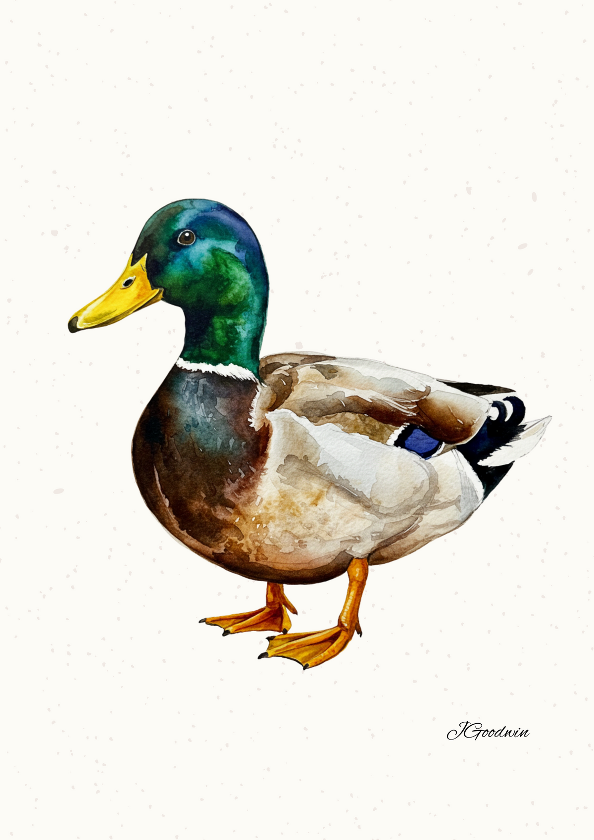 "Xavier the Mallard Duck" Digital Print