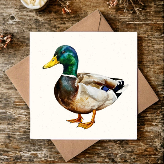 "Xavier the Duck" Greeting Card